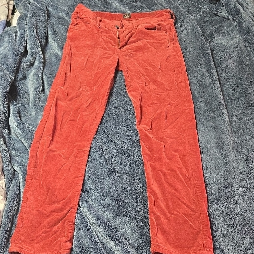 Deep Red Velvety Panta
